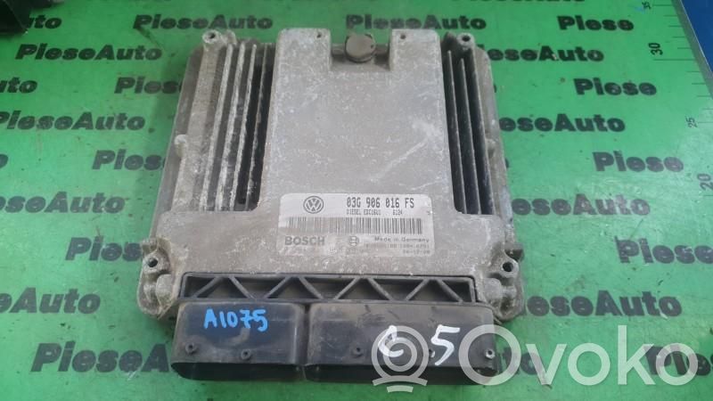 Engine control unit/module ECU   0281011955,03G906016FS