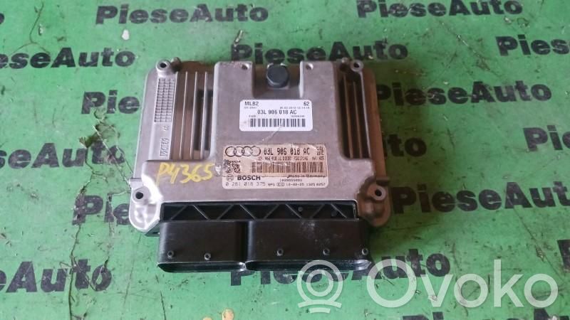 Audi A4 S4 B7 8E 8H Engine control unit/module ECU 
