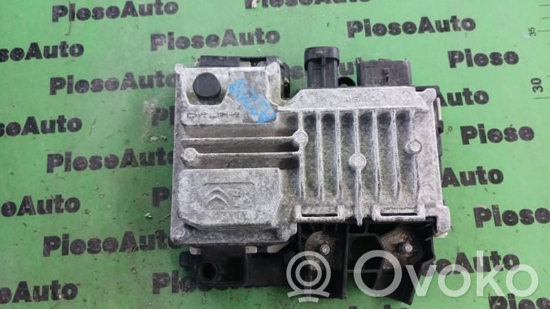 Engine control unit/module ECU   9819596180