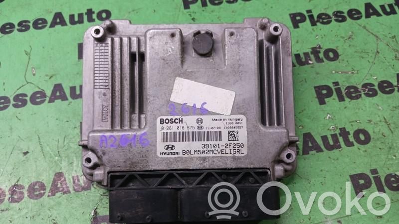 Galios (ECU) modulis   0281016675,391012F250