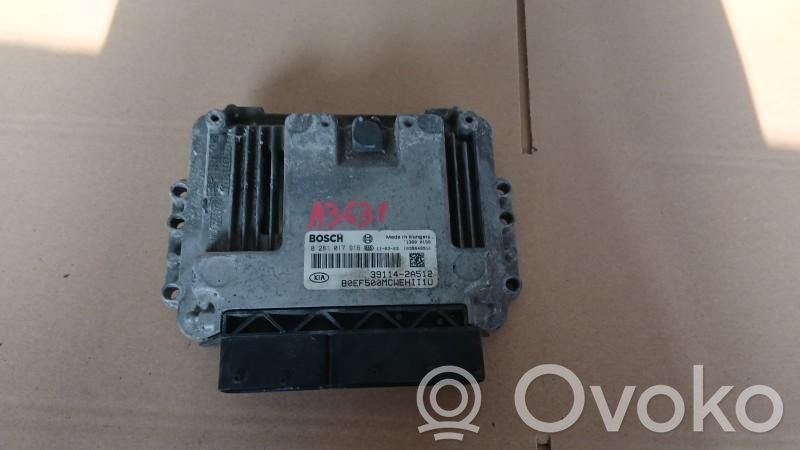 Unidad de control/módulo ECU del motor   0281017916,391142A512