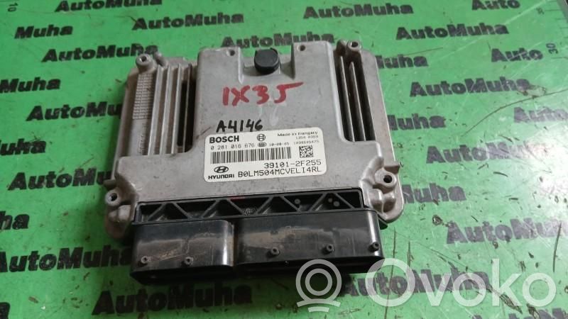 Engine control unit/module ECU   0281016676,391012F255