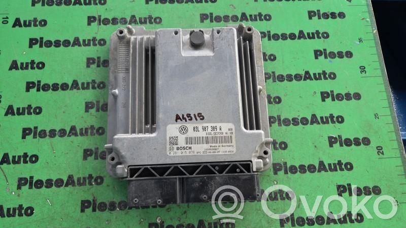 Komputer / Sterownik ECU silnika   0281015076,03L907309A
