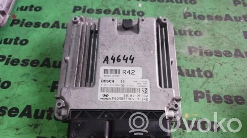 Hyundai Santa Fe Engine control unit/module ECU 