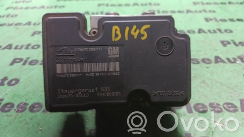 ABS Pump   10097005133,13246534