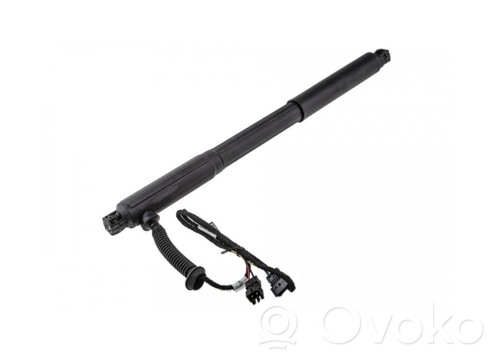 BMW X5 E70 Tailgate/trunk strut/damper 
