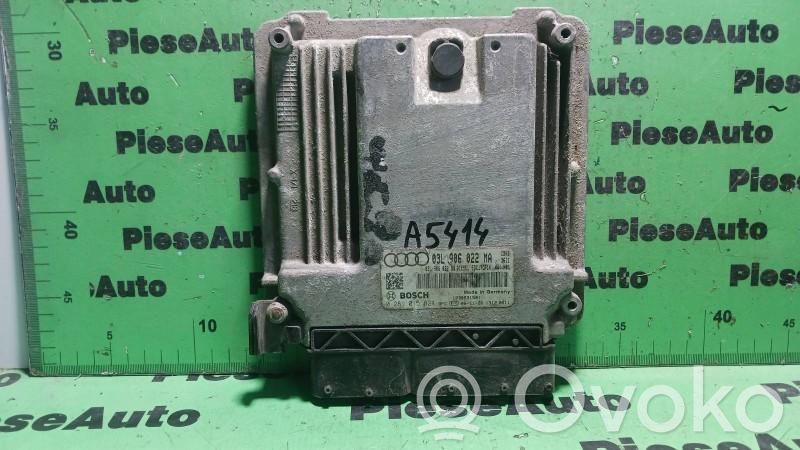 Unidad de control/módulo ECU del motor   0281015824,03L906022MA