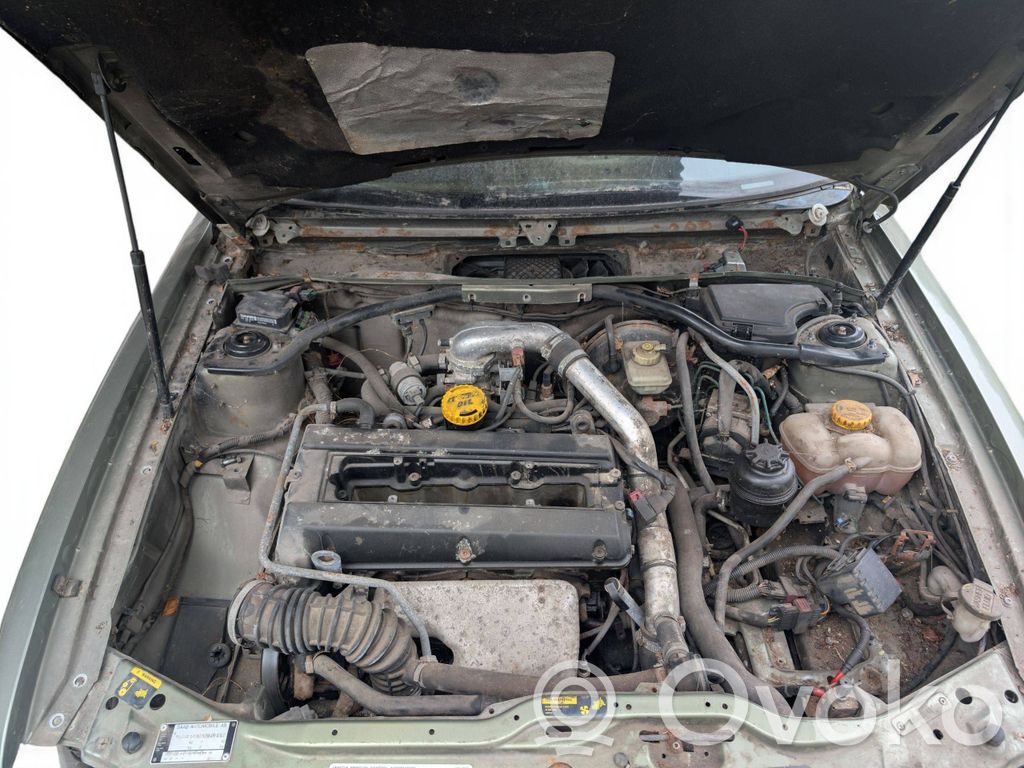 Variklis   B204L