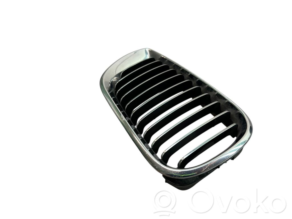 BMW 3 E46 Front grill 