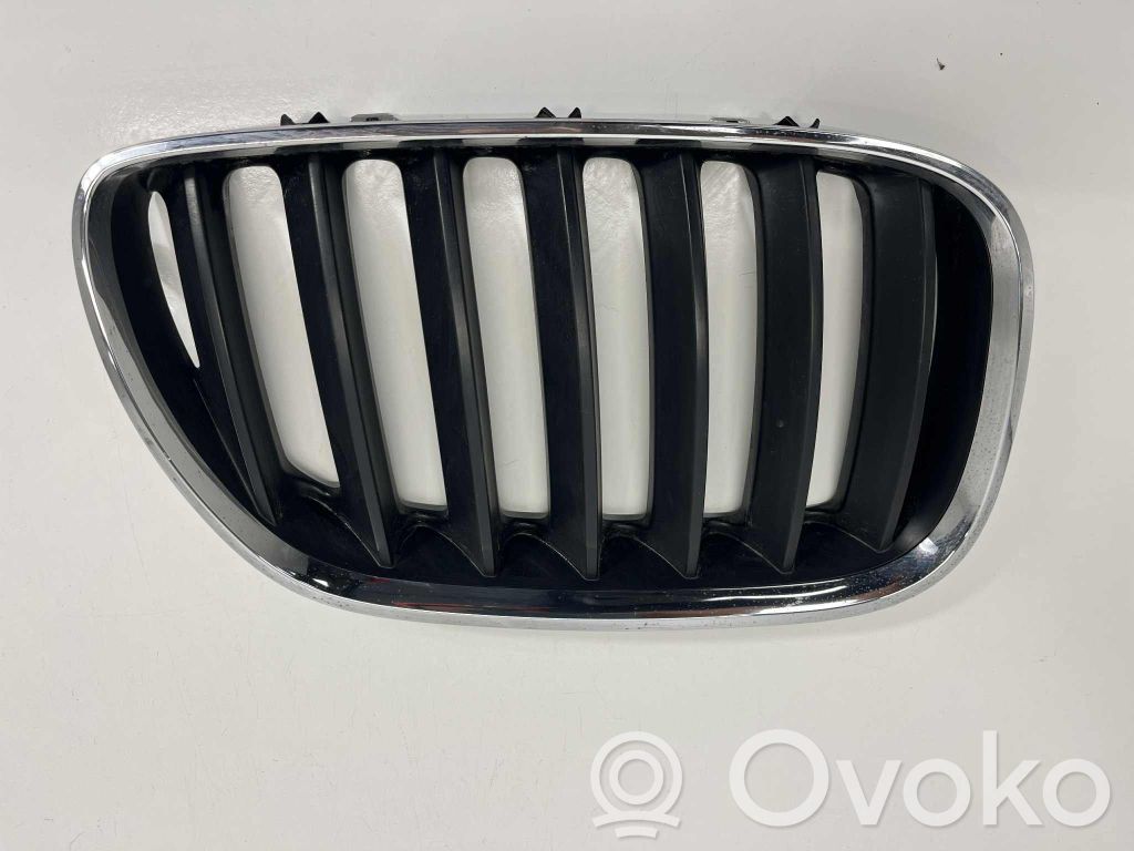 BMW X5 E53 Front bumper upper radiator grill 