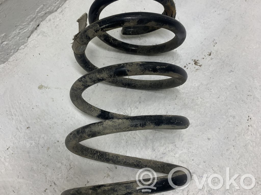 Front coil spring   750338