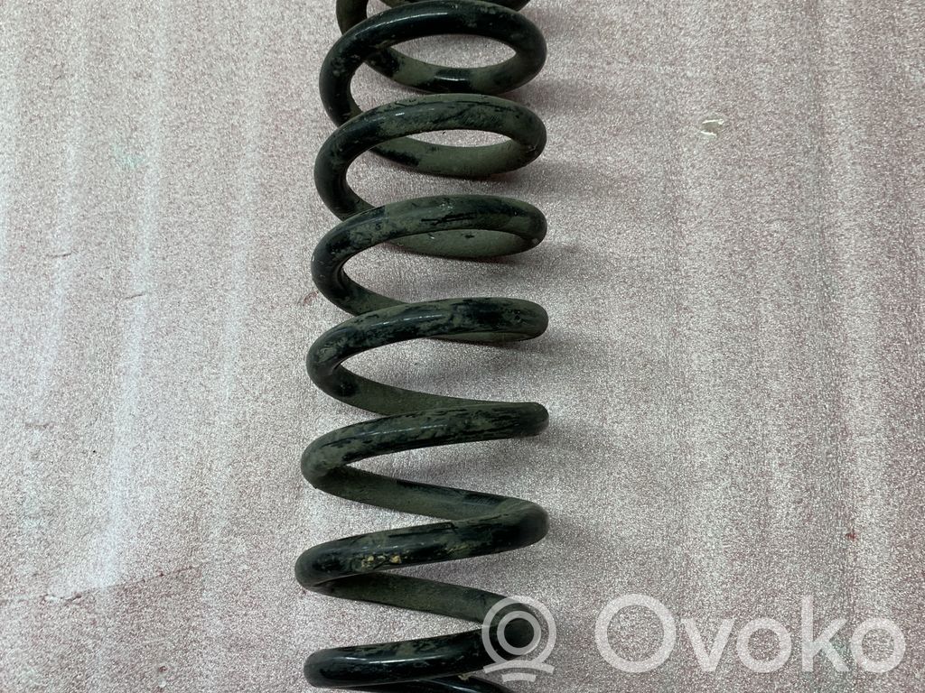 Rear coil spring