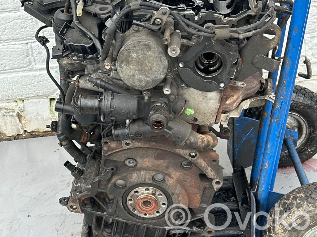 Motor   10WAPF,RH02