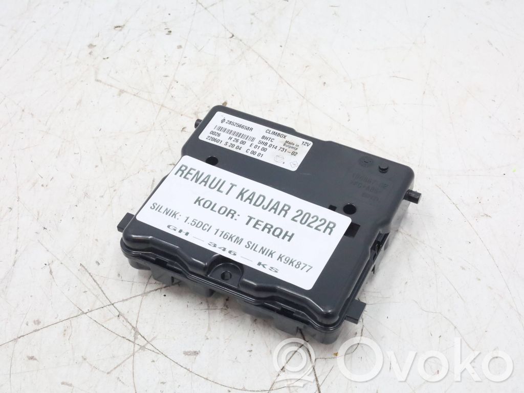 Renault Kadjar Other control units/modules 