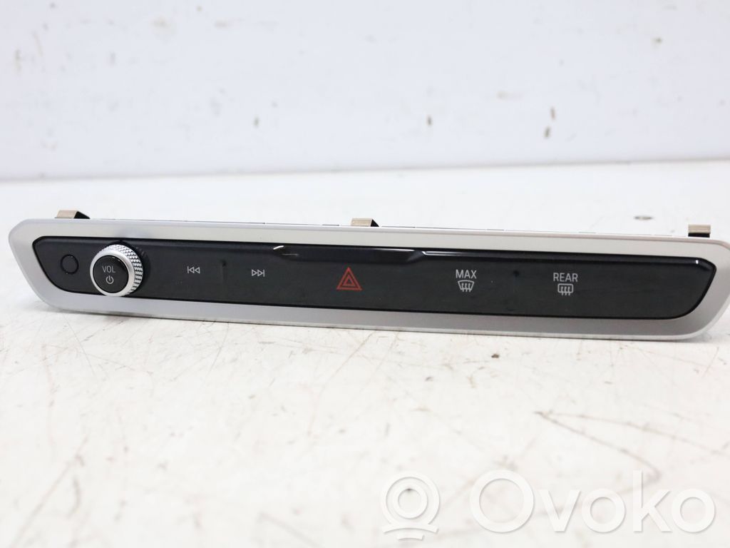BMW XM Head unit multimedia control 
