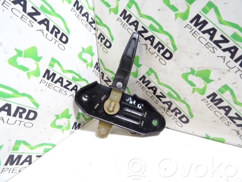 Manecilla interna puerta trasera