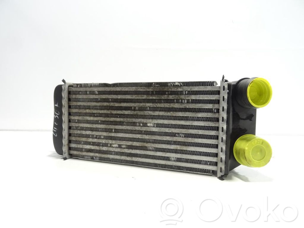 Peugeot 206 Intercooler radiator 