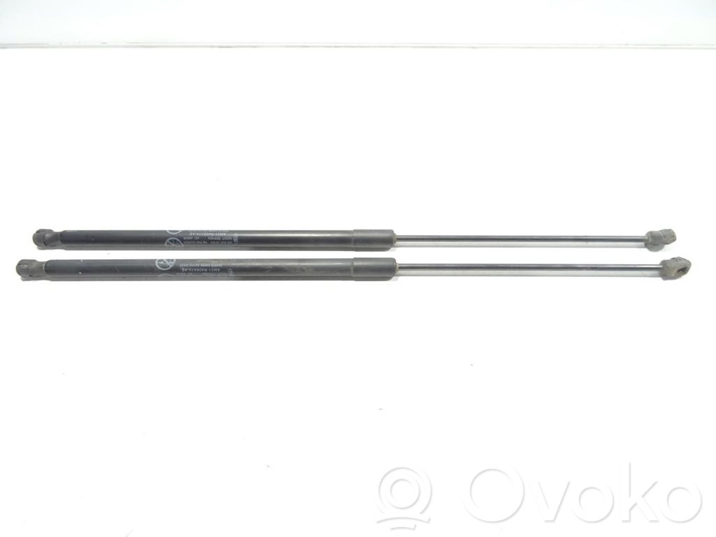 Ford C-MAX II Tailgate/trunk strut/damper 