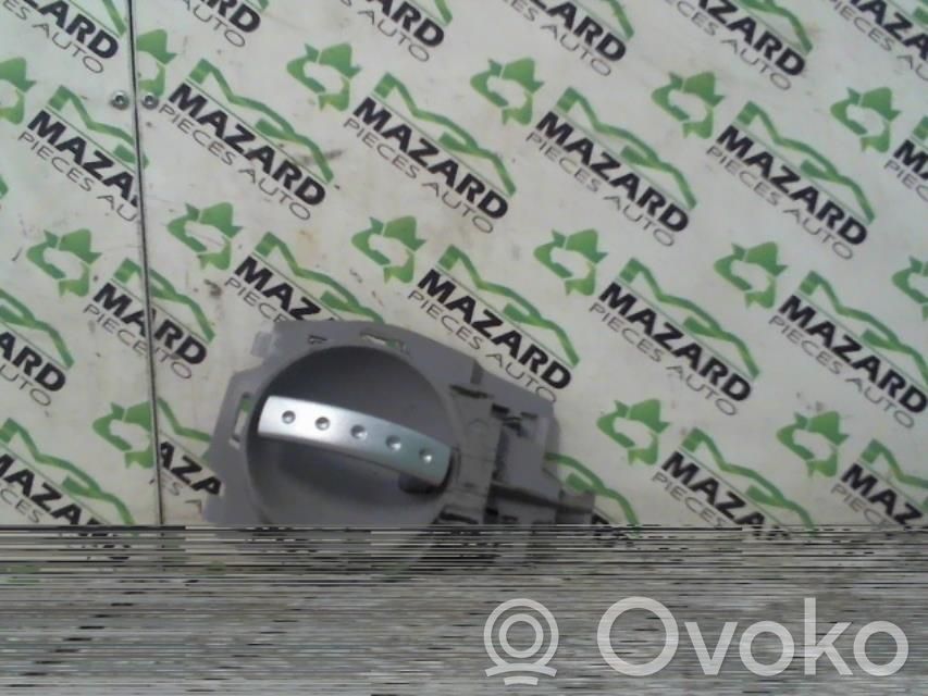Citroen C3 Manecilla interna puerta trasera 