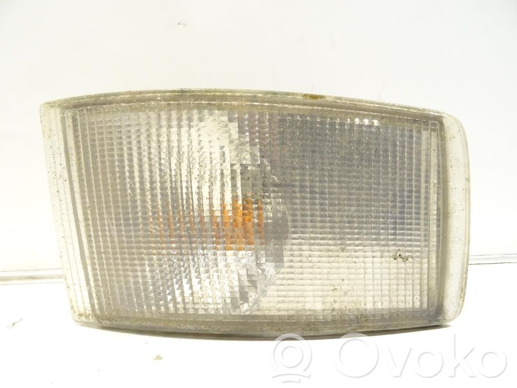 Fiat Ducato Seitenblinker 