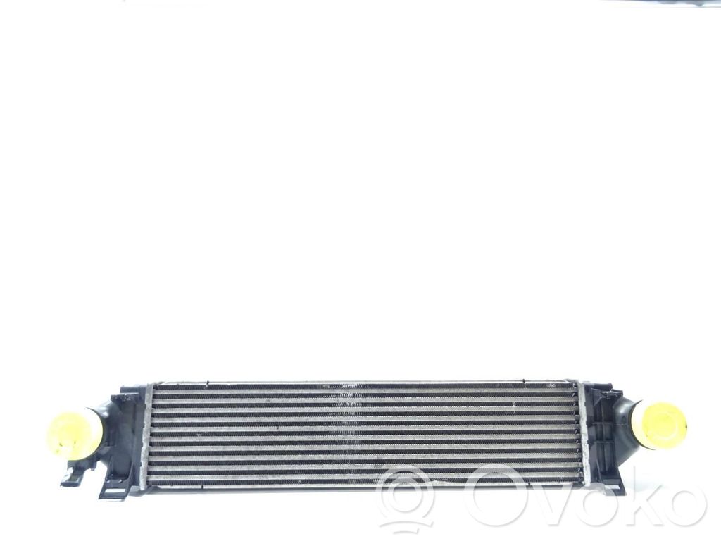 Land Rover Range Rover Evoque L538 Chłodnica powietrza doładowującego / Intercooler 