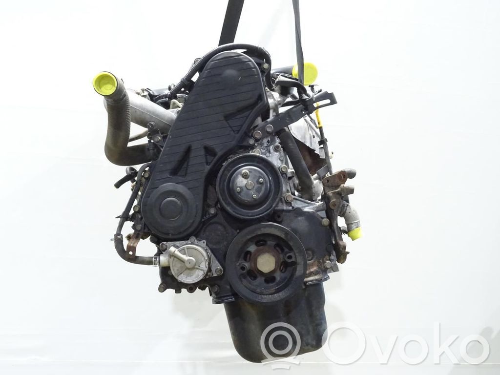Motor