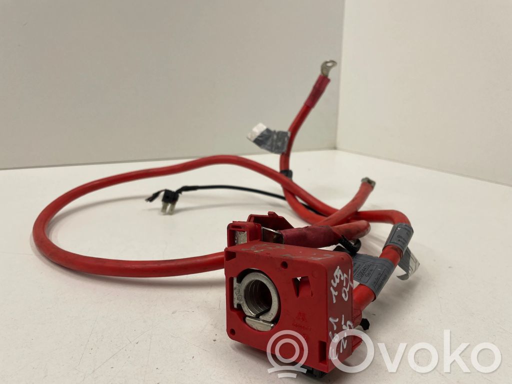 BMW 5 E60 E61 Pliusinis laidas (akumuliatoriaus) 