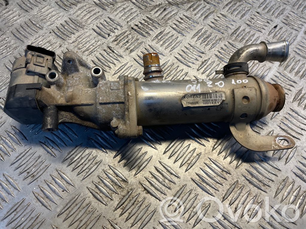 Peugeot 5008 Chłodnica spalin EGR 