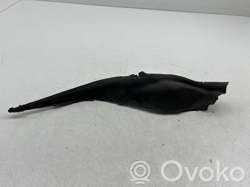 Chrysler Pacifica Windshield trim 