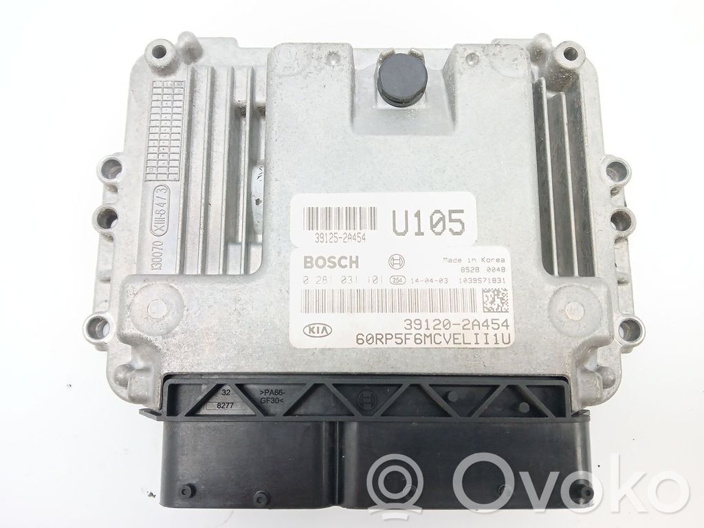 Engine control unit/module   391252A454,391202A454,0281031101