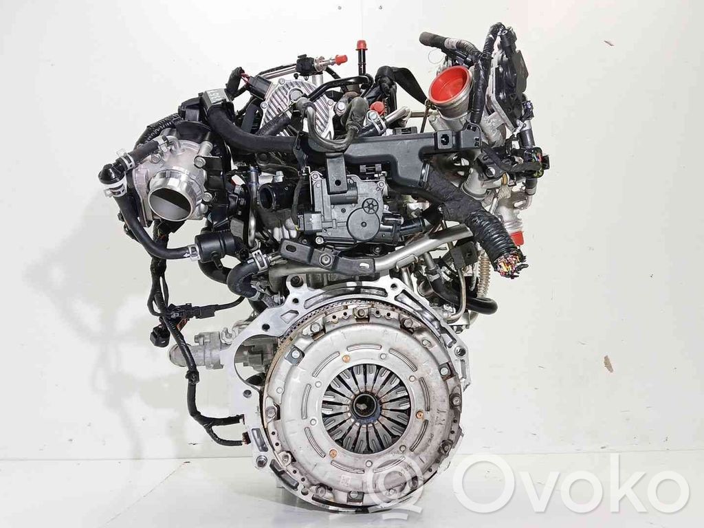 Motor   G3LF