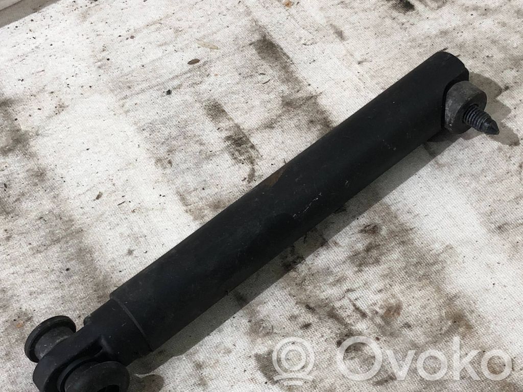 Tailgate/trunk strut/damper   7149631