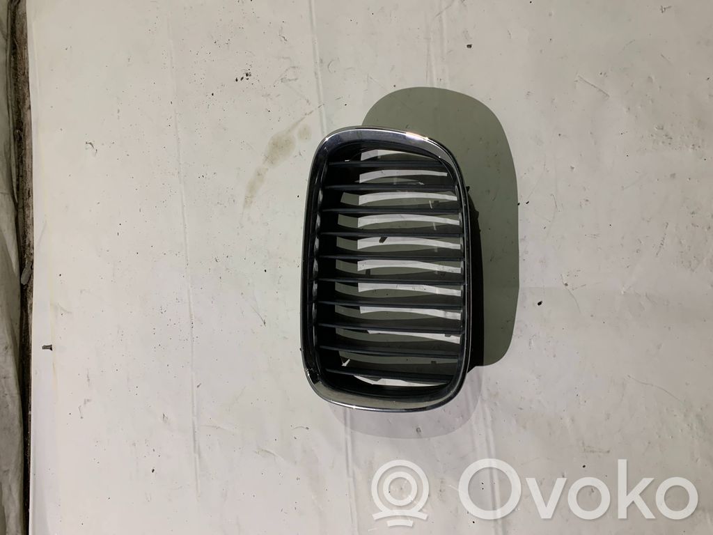 Front grill   8159313