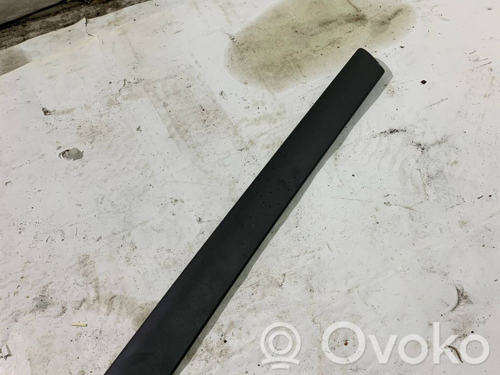 BMW 3 E46 Front door trim (molding) 