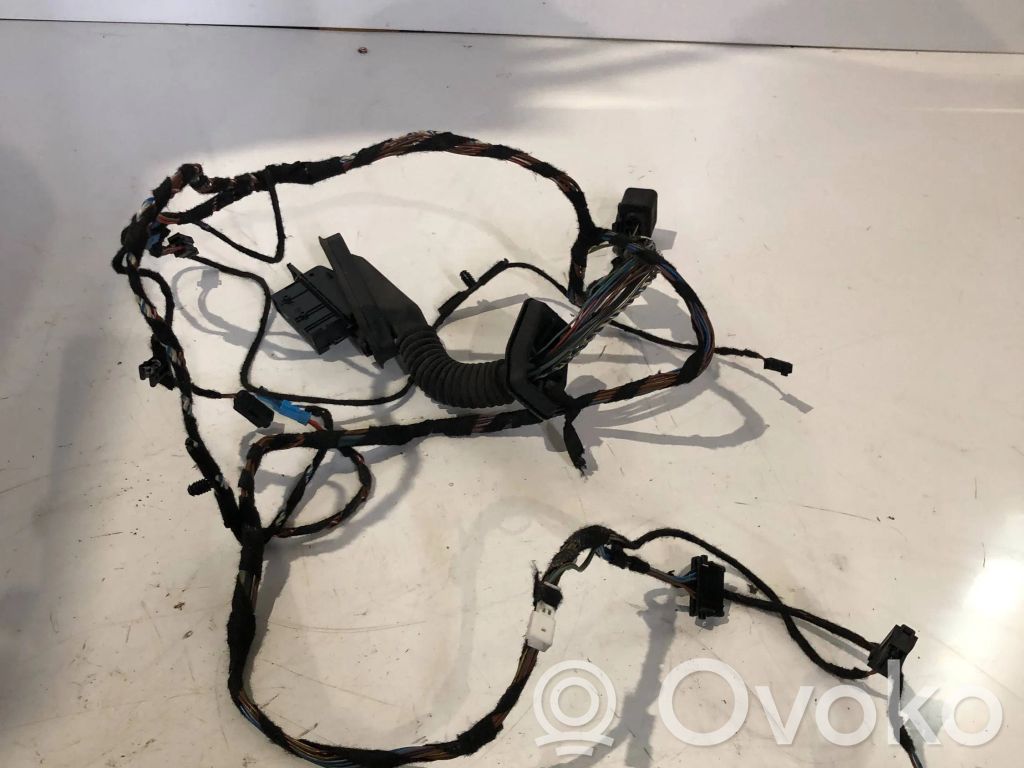 BMW X5 E70 Cableado de puerta delantera 