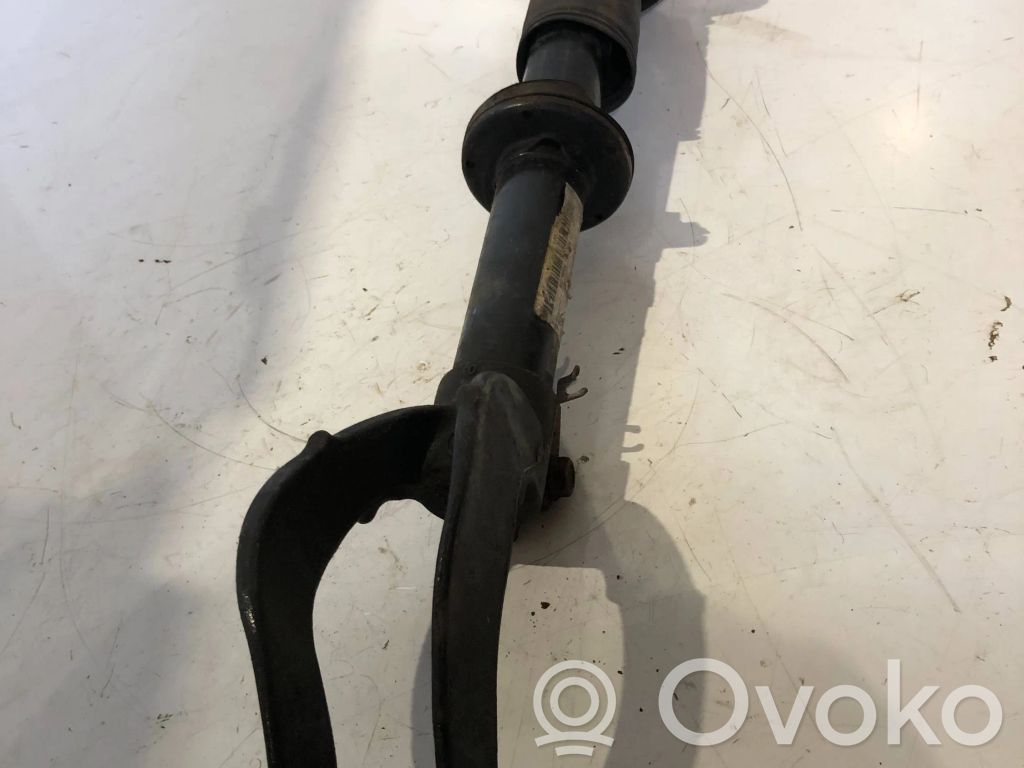 BMW X6 E71 Front shock absorber/damper 