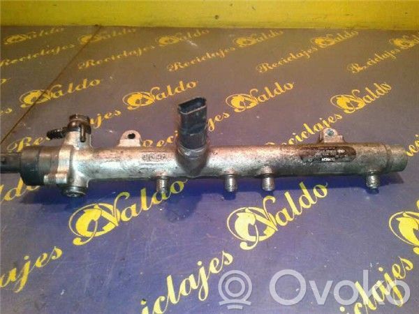 Rampa inyectora   445213007,BOSCH