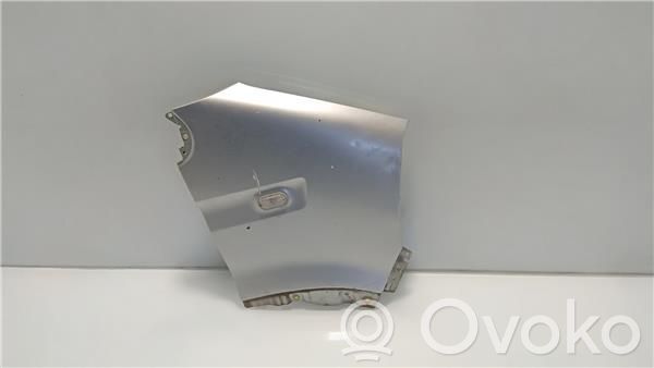 Aleta delantera   GRIS,VF1JDGTH635307428
