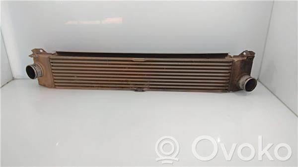 Radiador intercooler   VF3YBBMFB11346860