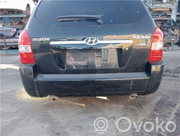 Hyundai Tucson JM Drzwi tylne do samochodów dostawczych 