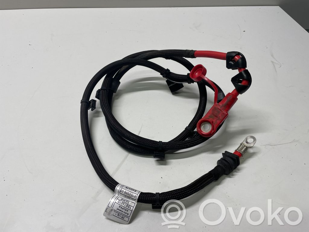 BMW 3 G20 G21 Pliusinis laidas (akumuliatoriaus) 