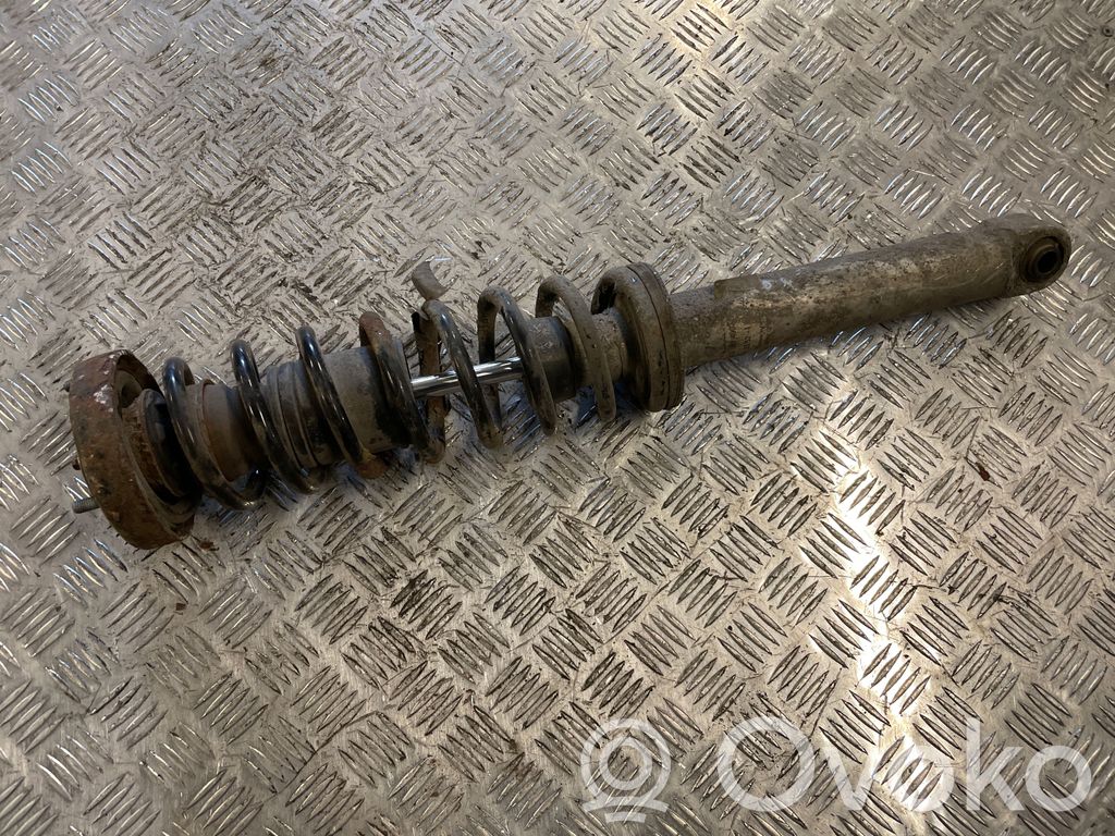 Stoßdämpfer hinten   1093646
