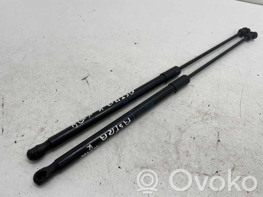 Tailgate/trunk strut/damper