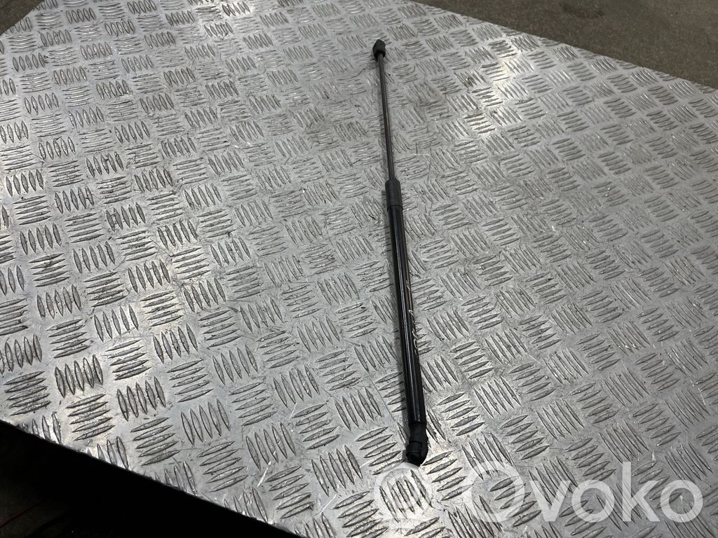 Tailgate/trunk strut/damper   13428064