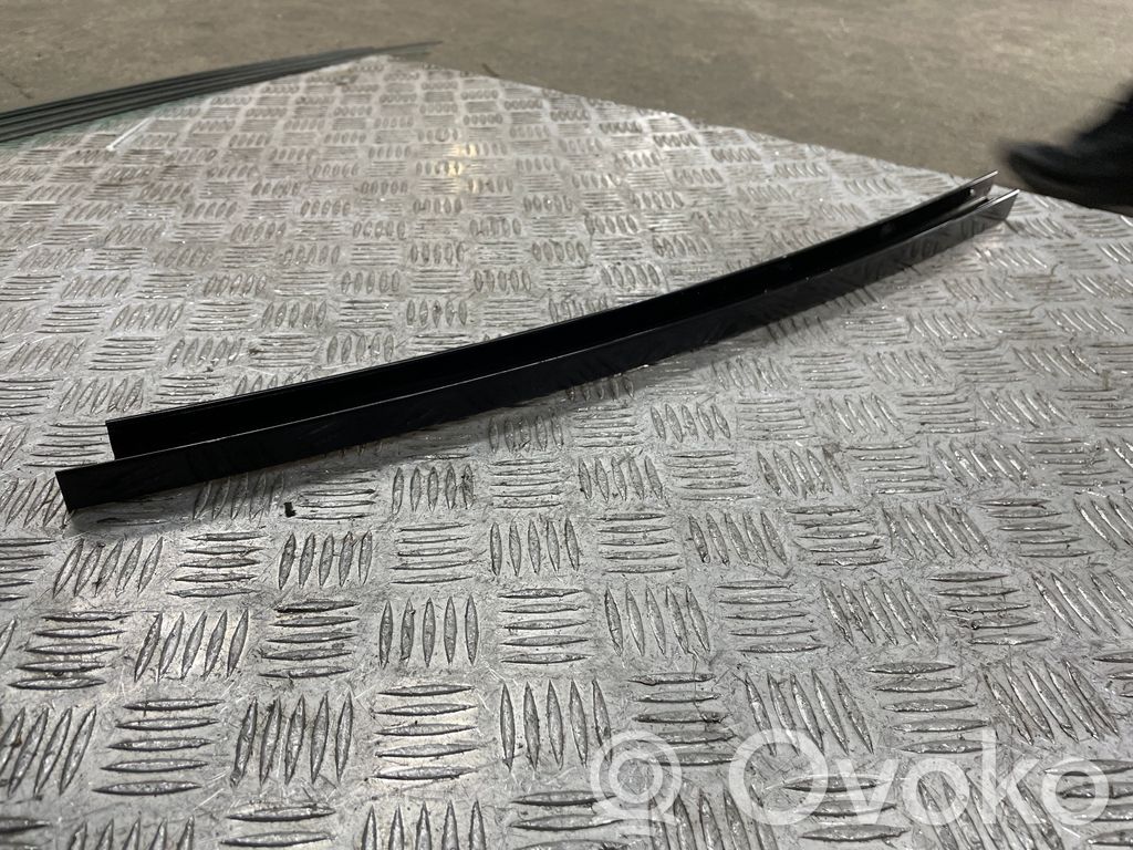 BMW X3 G01 Rear door trim (molding) 