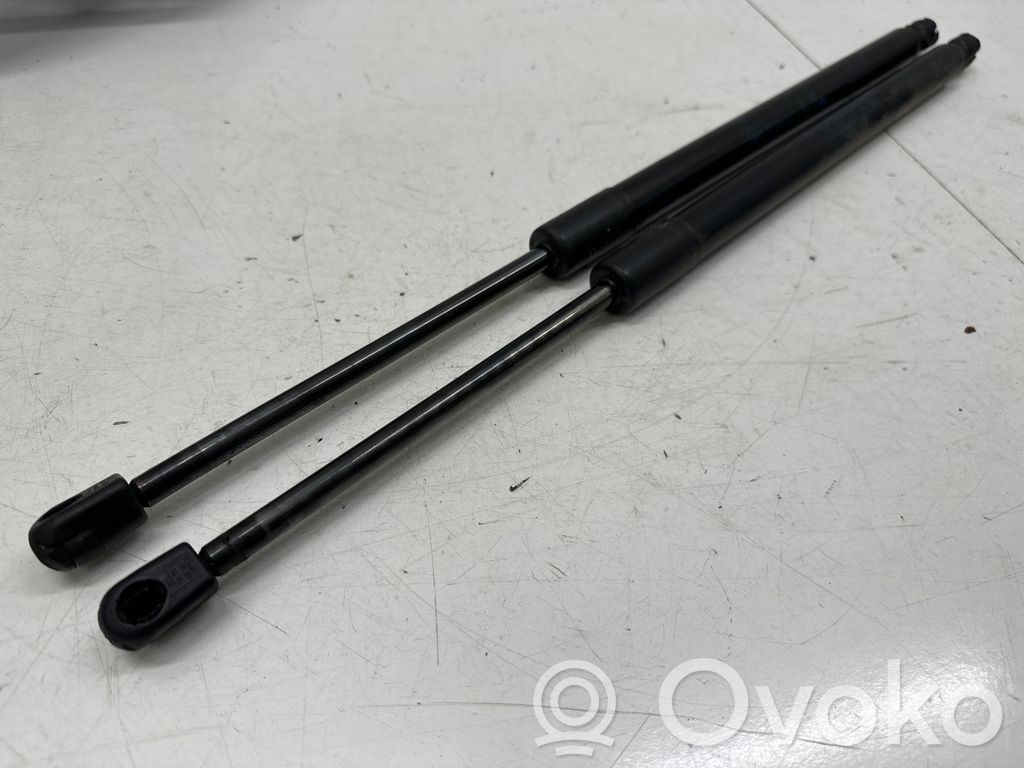 Jeep Compass Tailgate/trunk strut/damper 