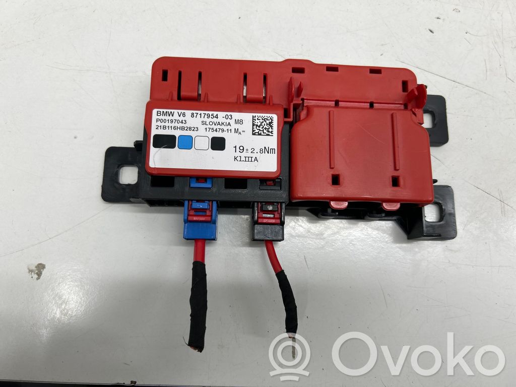 BMW iX3 G08 Positive wiring loom 