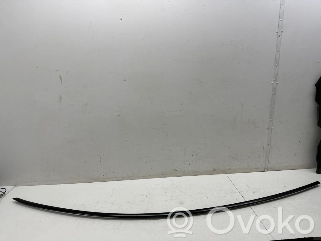 Tesla Model 3 Dachzierleiste 