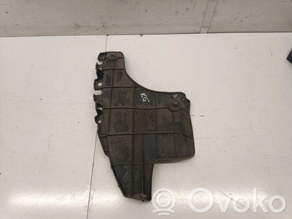 Lexus NX Rear mudguard 