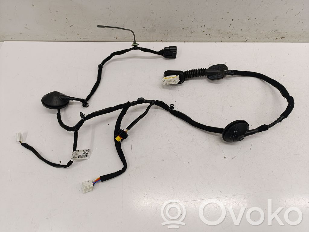 KIA Niro Cableado de puerta trasera 